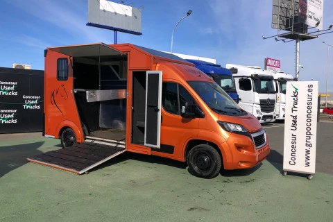 Peugeot Boxer 2.2 - 140 C.V. / FURGON TRANSPORTE DE CABALLOS