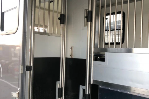 Renault Trucks Master 2.3 / para transporte de 2 caballos