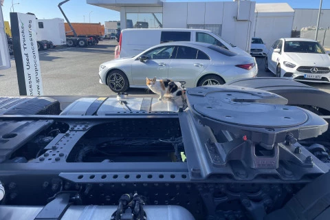 Mercedes-Benz Actros 1851LS