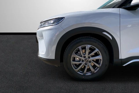BYD ATTO 2 DM-i Boost
