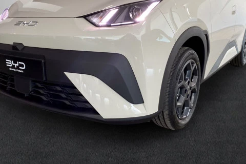 BYD Dolphin Surf Boost