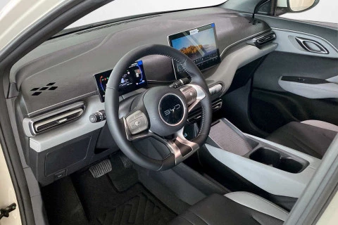 BYD Dolphin Surf Boost