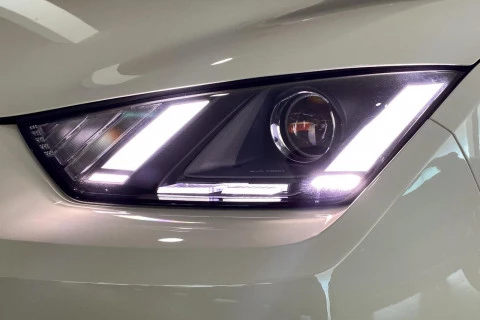 BYD Dolphin Surf Boost