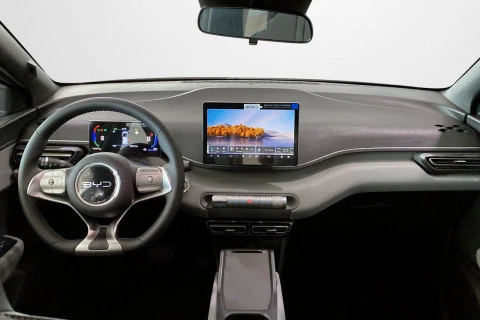 BYD Dolphin Surf Boost