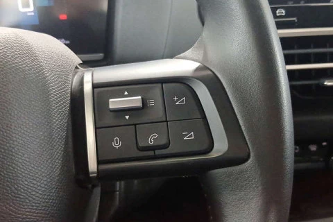 Citroën C4 PureTech 130 S&S You 96 kW (131 CV)