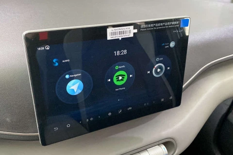 BYD Dolphin Surf Active