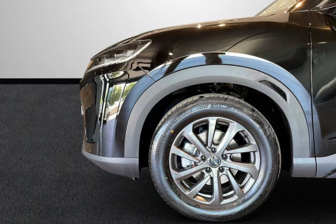 BYD ATTO 2 DM-i Boost