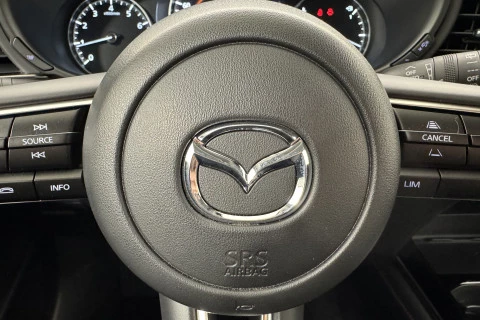 Mazda CX-30 e-SKYACTIV X MHEV Homura