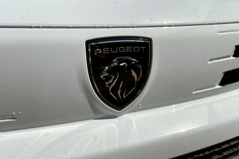 Peugeot Partner Standard 600kg BlueHDi 100CV Manual