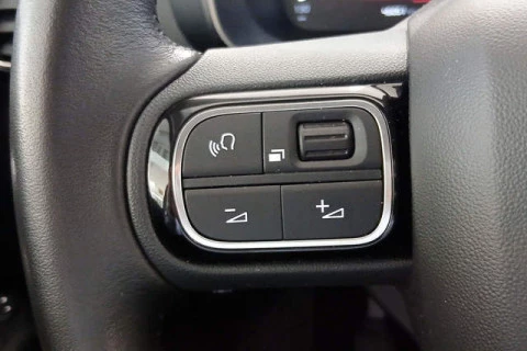 Citroën C5 Aircross PureTech 130 S&S Plus 96 kW (131 CV)