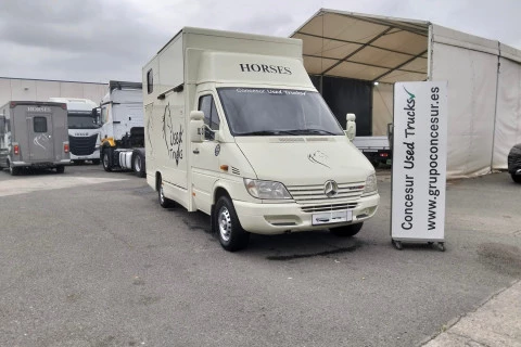 Mercedes-Benz Sprinter TRANSPORTE CABALLOS 