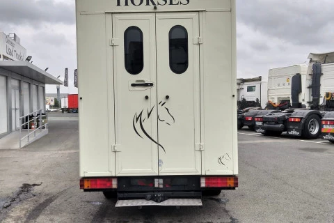 Mercedes-Benz Sprinter TRANSPORTE CABALLOS 