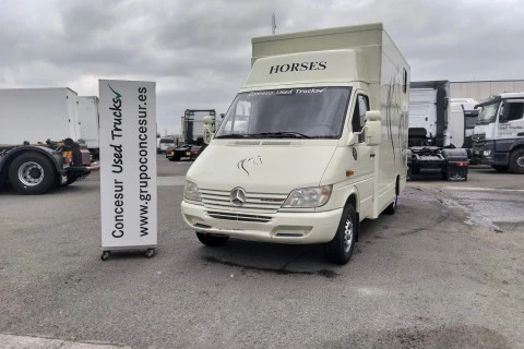Mercedes-Benz Sprinter TRANSPORTE CABALLOS 