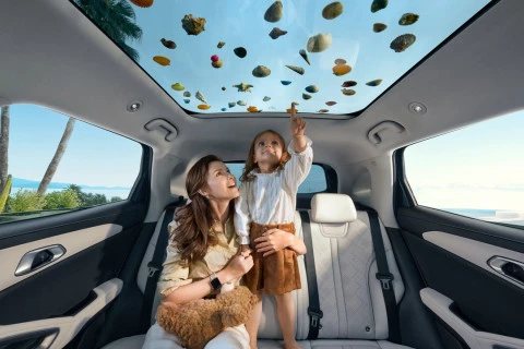 BYD ATTO 2 DM-i Boost