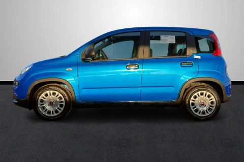 Fiat Panda Panda 1.0 Hybrid 51kW (70cv) POP