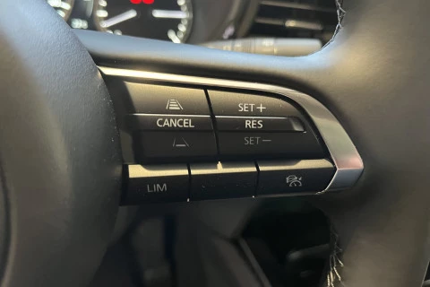 Mazda CX-30 e-SKYACTIV G Homura