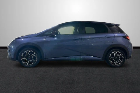 BYD DOLPHIN Design