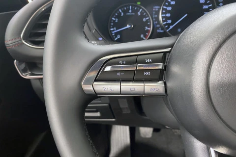 Mazda3 2.5L E-SKY G MHEV 103kW Homura