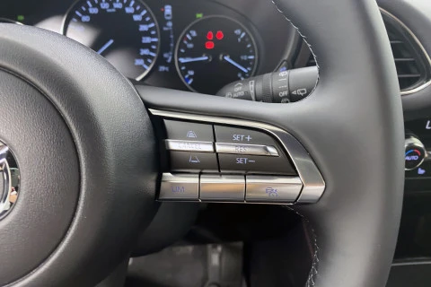 Mazda3 2.5L E-SKY G MHEV 103kW Homura