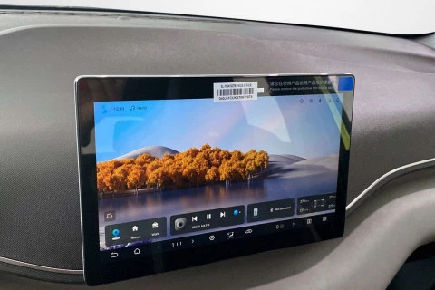 BYD Dolphin Surf Boost