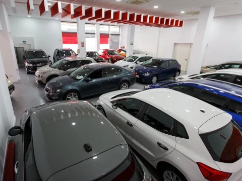 Vista general del showroom en Driveris Polígono PISA con coches en exhibición.