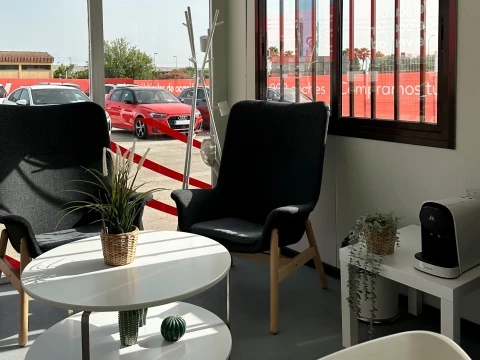 Sala de espera en el concesionario Driveris con silla y mesa decorada con plantas