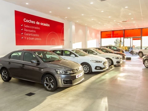 Exposición de coches en Driveris Trigueros con diferentes modelos disponibles.