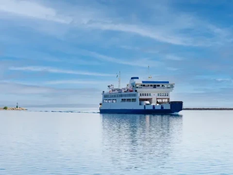 Ferry con coches de segunda mano