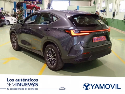 Lexus NX 350h Business City 2WD 178 kW (242 CV)