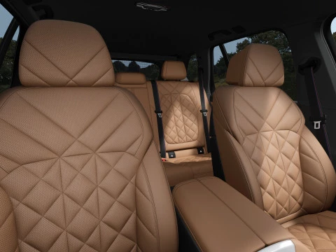 BMW X5 xDrive50e xLine