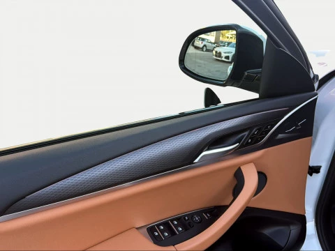 BMW X4 xDrive20d xLine