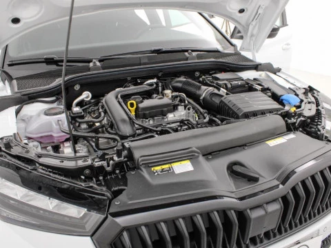 Skoda Scala SCALA PLUS 1,0 TSI 85 KW (115 CV) MANUAL 6 VEL.