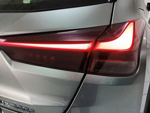 Lexus UX 300e Business