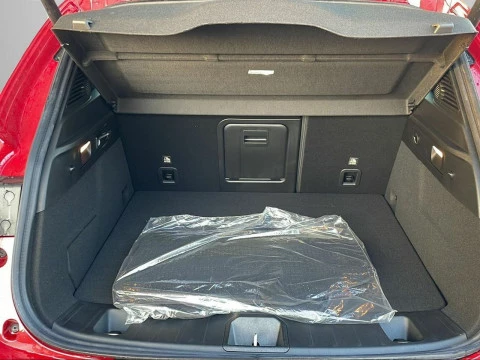 Alfa Romeo Tonale 1.3 Multi-air PHEV Sprint Q4