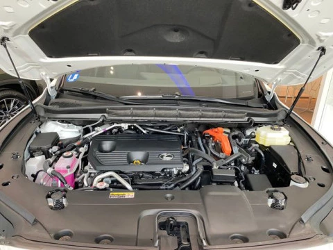 Lexus RX 450h+ Executive+