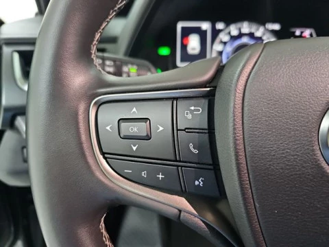 Lexus UX 2.0 250h Premium