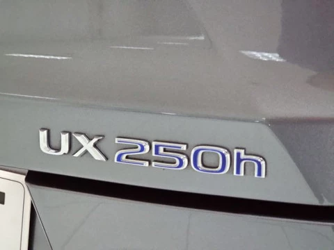Lexus UX 2.0 250h Premium