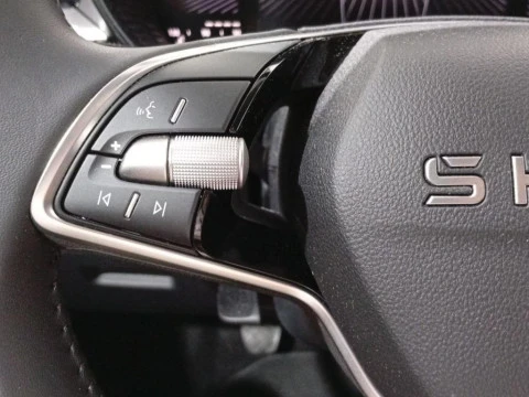 Skoda Fabia 1.0 TSI Selection 70 kW (95 CV)