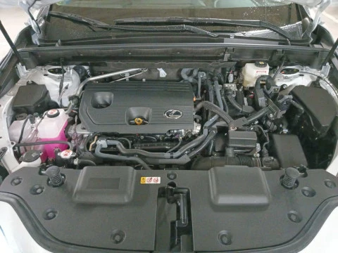 Lexus NX 350h Business City 2WD