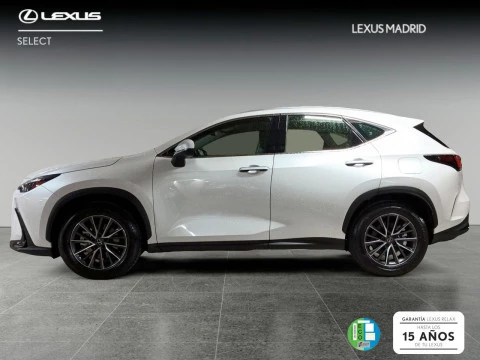 Lexus NX 350h Business City 2WD