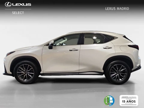 Lexus NX 350h Business City 2WD