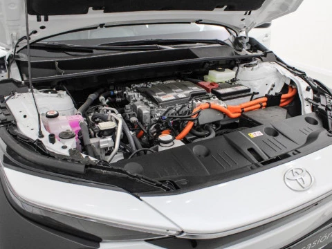 Toyota BZ4X DE bZ4X - NG22