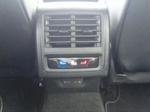 Volkswagen Golf R-Line 2.0 TDI 110 kW (150 CV) DSG