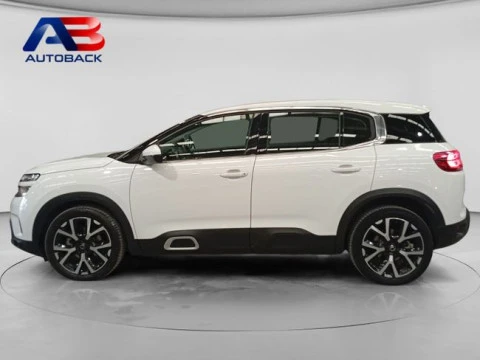 Citroën C5 Aircross BlueHdi 96kW (130CV) S&S Live