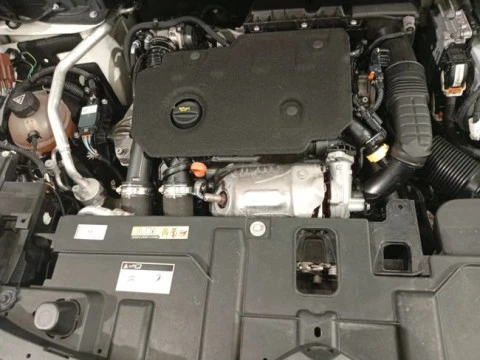 Citroën C5 Aircross BlueHdi 96kW (130CV) S&S Live