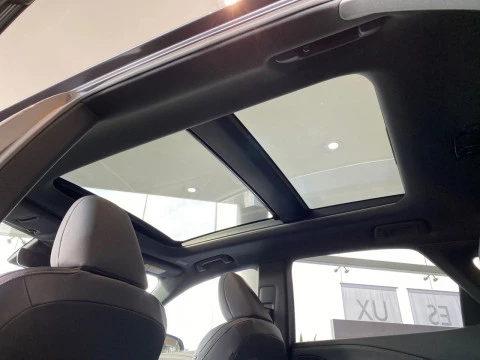 Lexus RX 450h+ Executive