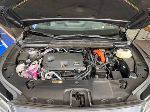 Lexus RX 450h+ Executive