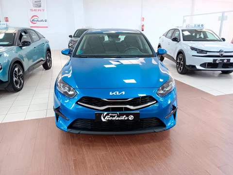 Kia Ceed 1.6 MHEV 100KW DRIVE 5P Kia Ceed 1.6 MHEV 100KW DRIVE 5P