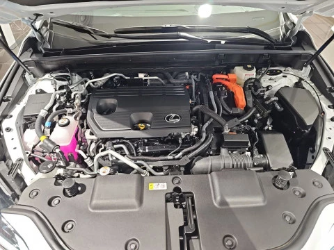 Lexus NX 450h+ Premium+ 4WD