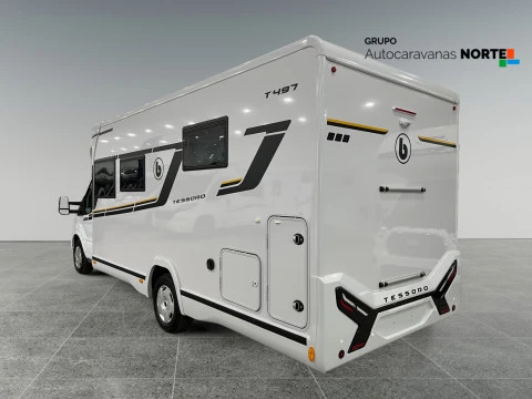 BENIMAR TESSORO TESSORO 497